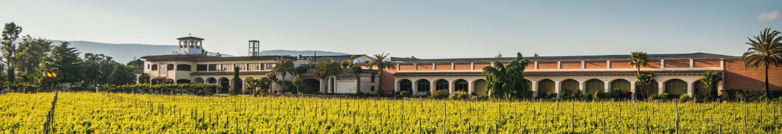 article_web_PremisVinari2025__MILLOR-BODEGA_3 Bodega Vallformosa