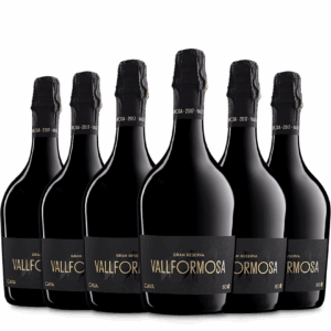 Vallformosa 150 Gran Reserva (6 bot.)
